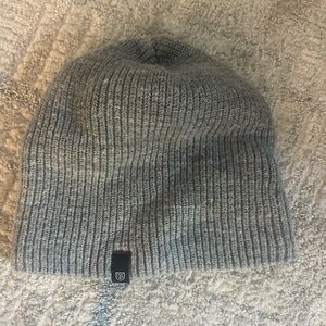 gray brixton beanie
